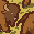 Nomadic icon