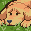 Whining icon